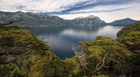 Bosques Patagónicos Argentina // Crédito: buzzfeed