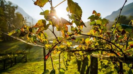 El Parlamento Europeo aprueba la Ley de Restauración de la Naturaleza