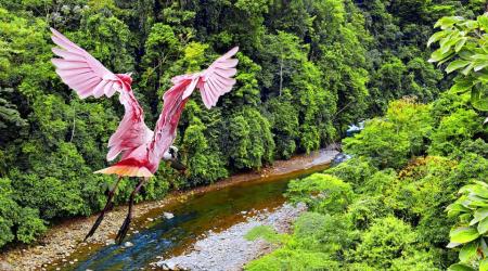 Costa Rica presenta el Plan Estratégico Nacional, un instrumento para el desarrollo sostenible. 