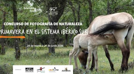 Concurso de Fotografía de Naturaleza ‘Primavera en el Sistema Ibérico Sur’