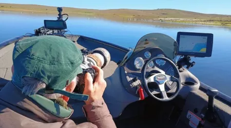 Top Birding on a boat