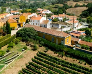 Vuelta a lo rural, calidad de vida
