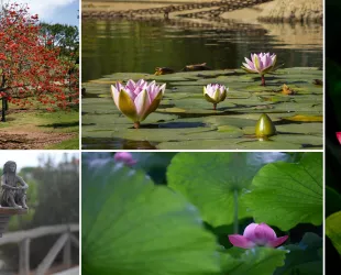 Parque botánico Celestino Mutis: Un oasis de biodiversidad en Huelva