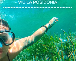 'Vive la Posidonia' 'Vive la Posidonia'