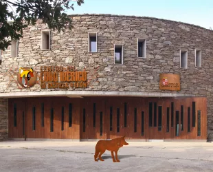 Centro del lobo ibérico en Zamora // Crédito: fundacionpatrimonionatural Centro del lobo ibérico en Zamora // Crédito: fundacionpatrimonionatural