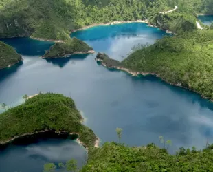Mejores destinos para hacer ecoturismo en México 