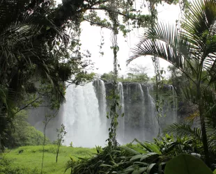  Reserva de la Biosfera Los Tuxtlas // Crédito: Gobierno de México