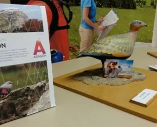 Producto Turístico Ornitológico en Aragón  // Crédito: zaragozabuenasnoticias