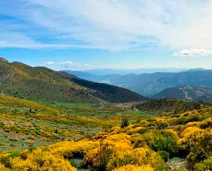Parque Nacional de la Sierra de Guadarrama 