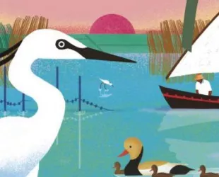 Imagen de La Albufera de València dentro del proyecto 'Greetings From Parcs Naturals', que firma Irene Pérez.