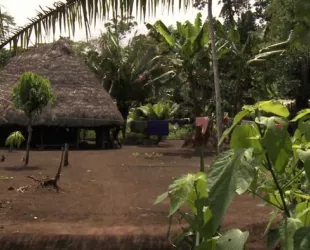 Tiwi Nunka en Ecuador // Crédito: dw.com