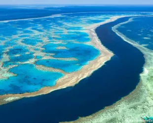 Gran Barrera de Arrecifes de Australia // Crédito: dw.com Gran Barrera de Arrecifes de Australia // Crédito: dw.com