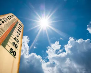 Las olas de calor podrían provocar ecoansiedad Las olas de calor podrían provocar ecoansiedad