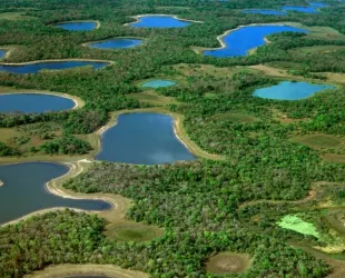 El Pantanal, Brasil // Crédito: expreso.info El Pantanal, Brasil // Crédito: expreso.info
