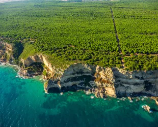 Parque Natural La Breña y Marismas de Babarte Parque Natural La Breña y Marismas de Babarte