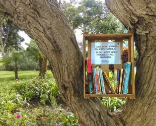 Naturaleza escrita: los mejores libros para este otoño 2022 // Crédito: archdaily.cl