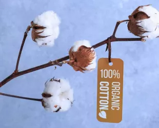 The Anti-Brand, nueva marca sostenible 