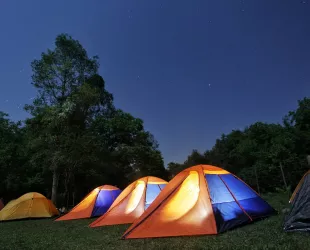 Noche mágica en el Parque Nacional de Tucumán, Argentina // Crédito: twitter Tucumán Noche mágica en el Parque Nacional de Tucumán, Argentina // Crédito: twitter Tucumán