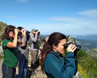 Los mejores lugares de Asturias para la observación de aves 