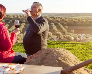 Descubre el Enoturismo en Extremadura en su mejor época: el Otoño