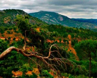 Parque Natural de Despeñaperros 