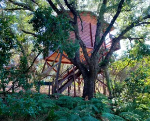 Nueva tendencia viajera para 2023: los ecolodges Nueva tendencia viajera para 2023: los ecolodges