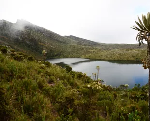  Parque Nacional Natural Chingaza, Colombia // Crédito: parquesnacionales.gov.co