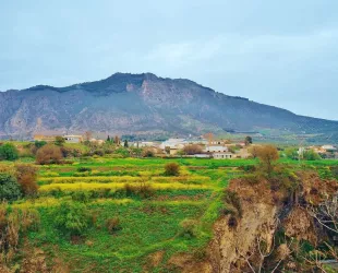 Paisaje del  Camino andaluz de Washington Irving // Crédito: Al Ándalus Ecoturismo