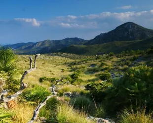 Parque natural del Llevant, Mallorca // Crédito: Balears Natura
