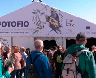 FIO 2024 