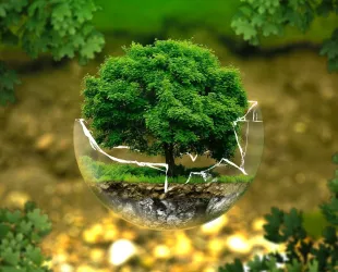 Se logra en Europa un acuerdo sobre la Ley de Restauración de la Naturaleza