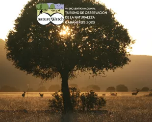 El bosque mediterráneo, protagonista del próximo NatureWatch