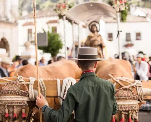 Mejores destinos para disfrutar de una romería por San Isidro Labrador