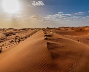 Desierto del Sahara 