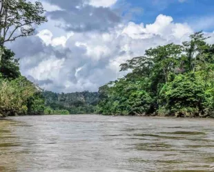 Crédito: Parques Nacionales Naturales de Colombia 