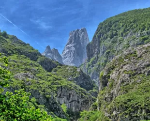 Fuentes del Narcea 