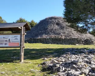 Crédito:  Áreas Protegidas de Castilla-La Mancha 