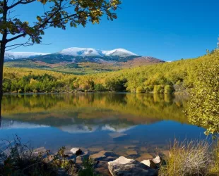 Moncayo: en busca de la declaración de parque natural