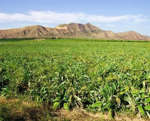 Crédito: Turismo Región de Murcia