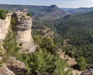 Parque Natural Alto Tajo en Guadalajara 