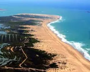 Parque Natural de la Bahía de Cádiz