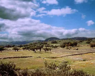 Reserva de la Biosfera de Sierra Morena 