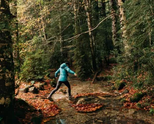 ¿Buscas disfrutar del paisaje otoñal? Te traemos las mejores rutas senderistas