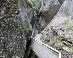 El Parque Natural Sabinares del Arlanza-La Yecla obtiene el certificado sostenible