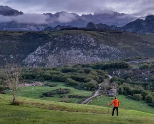 Crédito: Principado de Asturias