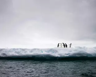 Científicos canadienses y españoles crean un observatorio en el océano Antártico Científicos canadienses y españoles crean un observatorio en el océano Antártico