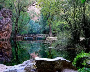 Monasterio de Piedra 