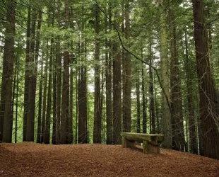 pueblosdecantabria.net