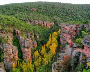 Recursos naturales de Alto Tajo y el Señorío de Molina 