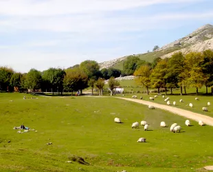 Aizkorri-Aratz // Turismo Euskadi 